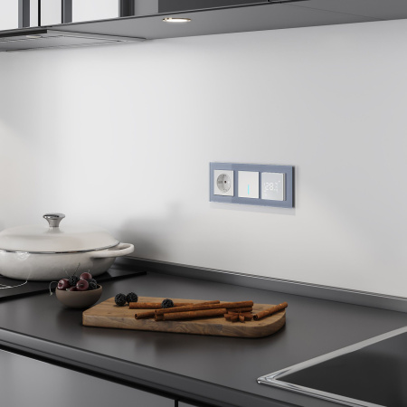 Умный сенсорный выключатель одноклавишный A СУ IP20 Werkel