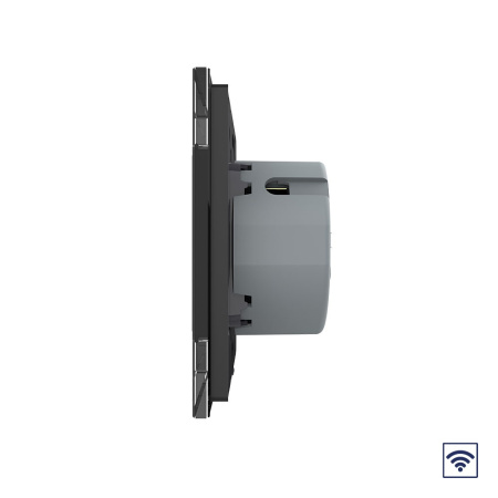 Сенсорный радиоуправляемый выключатель Quadro 1 клавиша 1 пост Черный Livolo