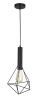 Подвесной светильник 1*E27 60Вт Черный IP20 Spider T021-01-B Maytoni