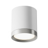 Потолочный светильник 1*GX53 15Вт Белый с Серебром IP20 Ceiling & Wall C086CM-GX53-MRD-WS Technical Maytoni