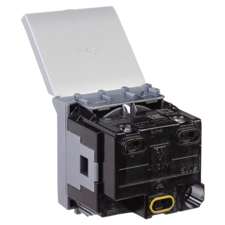 Розетка с крышкой модульная, 2P+E, с з/ш, "Avanti", "Закаленная сталь",2 модуля DKC