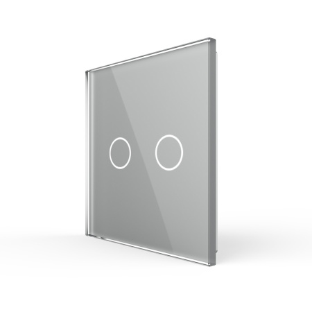 Панель для двухклавишного выключателя серая Livolo