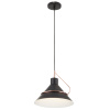 Подвесной светильник 1*E27 60Вт Черный IP20 Amis FR5025PL-01B Freya