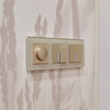 Выключатель двухклавишный проходной с подсветкой (шампань рифленый) СУ IP20 Werkel