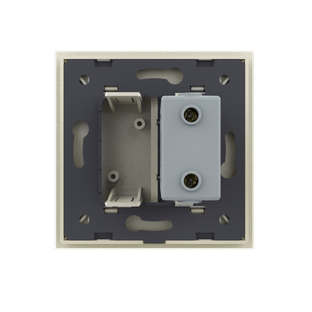 Розетка с одним USB type-A, блоком питания 5В 2.1А 1 пост, цвет жемчужный Livolo