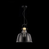 Подвесной светильник 1*E27 40Вт Черный IP20 Irving T163PL-01W Maytoni