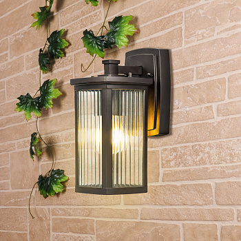 Настенный уличный светильник 1*E27 кофейное золото IP33 Lame D (a047202) Elektrostandard