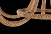 Люстра 5*E14 60Вт Матовый Черный IP20 Corda FR4402-PL-05-GB Freya