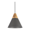 Подвесной светильник 1*E27 60Вт Черный IP20 Bicones P359-PL-220-C Maytoni