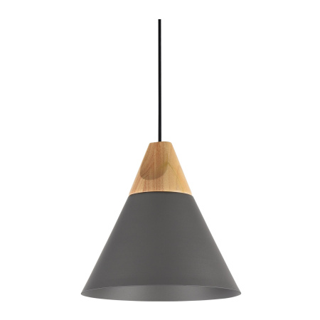 Подвесной светильник 1*E27 60Вт Черный IP20 Bicones P359-PL-220-C Maytoni