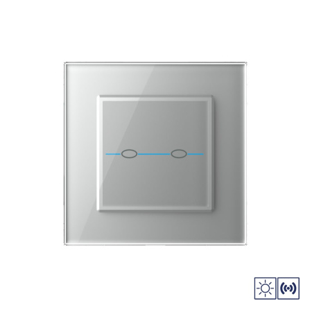Сенсорный импульсный выключатель Quadro сухой контакт 2 клавиши 1 модуль Серый Livolo