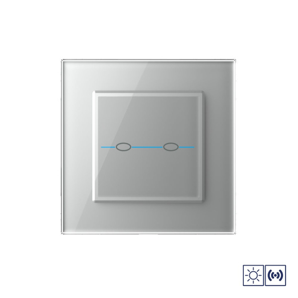 Сенсорный импульсный выключатель Quadro сухой контакт 2 клавиши 1 модуль Серый Livolo