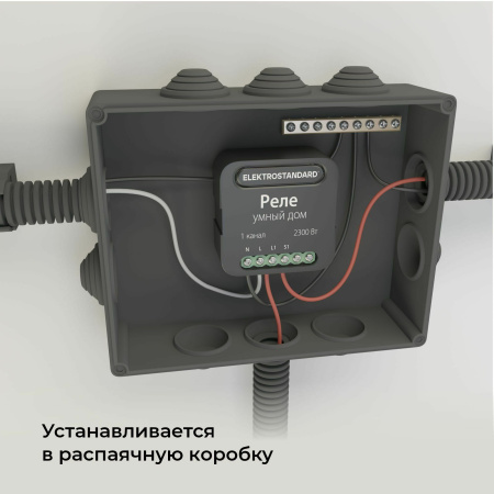 Умное одноканальное реле 2300Вт черный IP20 (a059324) Elektrostandard