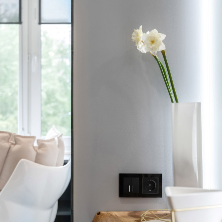 Розетка с заземлением, безвинтовой зажим (черный матовый) СУ IP20 Werkel