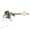 Настенный св-к E14 1*40W 220V FLOWER золото/белый ODEON LIGHT