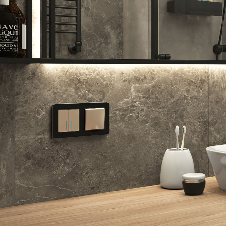 Platinum Рамка на 2 поста черный алюминий Werkel