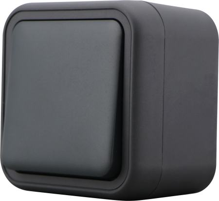Donel W55 Переключатель 1-кл. накладной, антрацит, IP55, серия (тип) DIP55