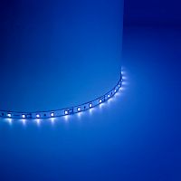 Светодиодная LED лента Feron LS604, 60SMD(2835)/м 4.8Вт/м 5м IP65 12V синий