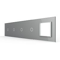 Панель для 4-х сенсорных выключателей и розетки, 4 клавиши (1+1+1+1), цвет серый, стекло Livolo
